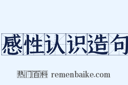 感性认识造句是什么意思的图片